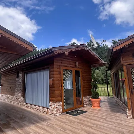 Safi Forest Village 도스파트
