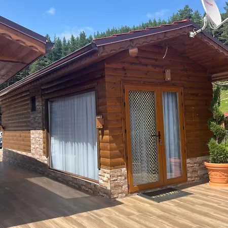 Safi Forest Village * 도스파트