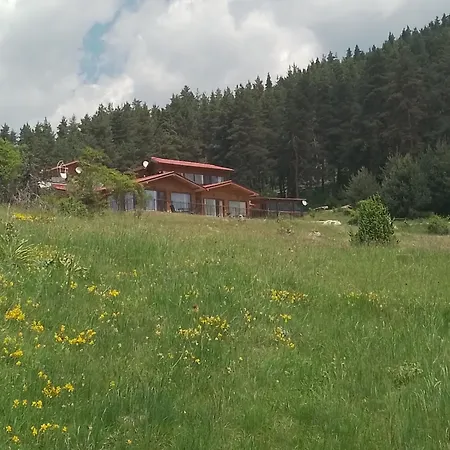Safi Forest Village