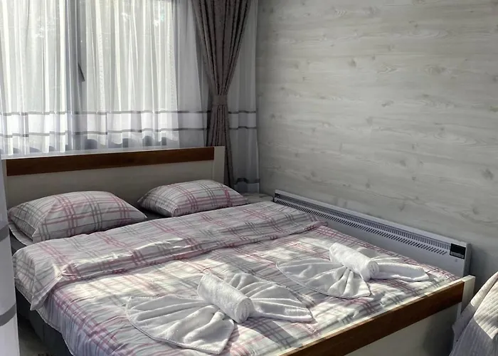 Villa Safi Forest Village